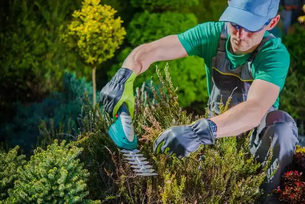 landscaping services Wheelersburg
